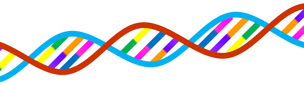 DNA testing by Functional Nutritionist