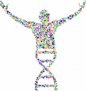 DNA strand forms a person