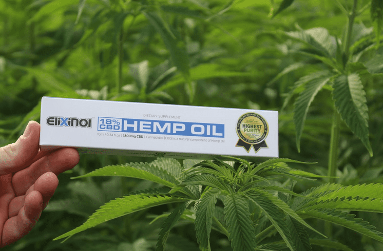 CBD oil and hemp plant