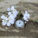 pocket watch on sand with flowers