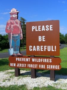 Smokey the Bear analogy prevent fire of inflammation