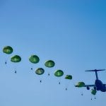 soldiers to the rescue fight against inflammation