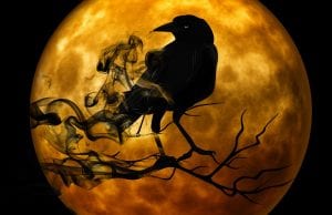 spooky Halloween image