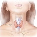 thyroid testing for hyperthyroidism