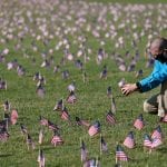 American Flags representing lives lost due to COVID-19